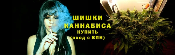 ГАЛЛЮЦИНОГЕННЫЕ ГРИБЫ Волосово