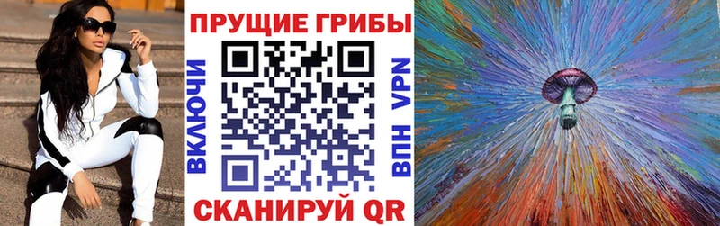 мориарти формула  Далматово  Галлюциногенные грибы ЛСД 